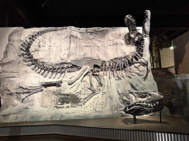 PlanetSKI Heads to Dinosaur Country